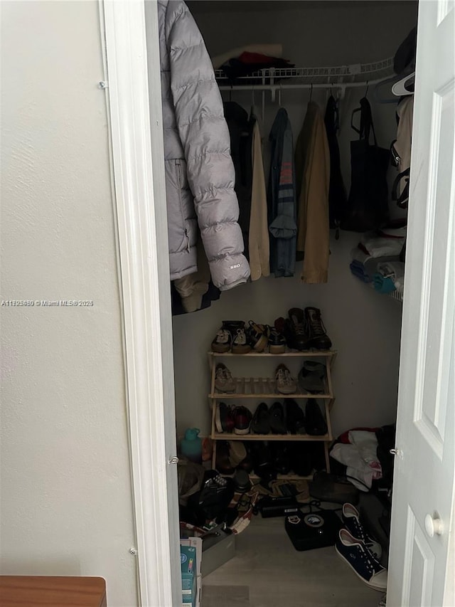 walk in closet featuring wood-type flooring