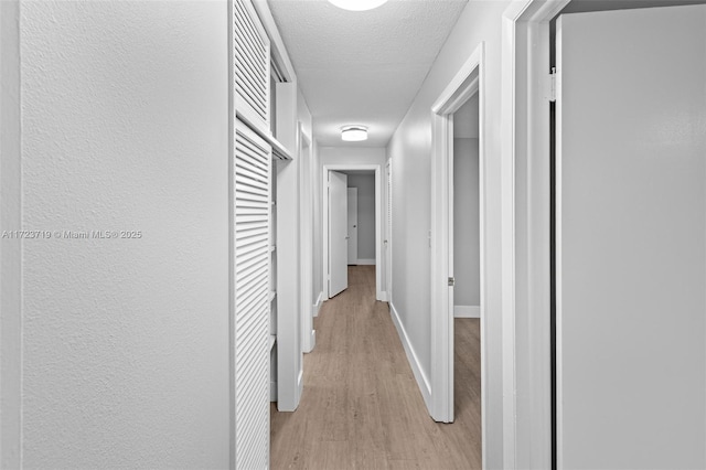 hallway featuring a textured ceiling and light hardwood / wood-style flooring