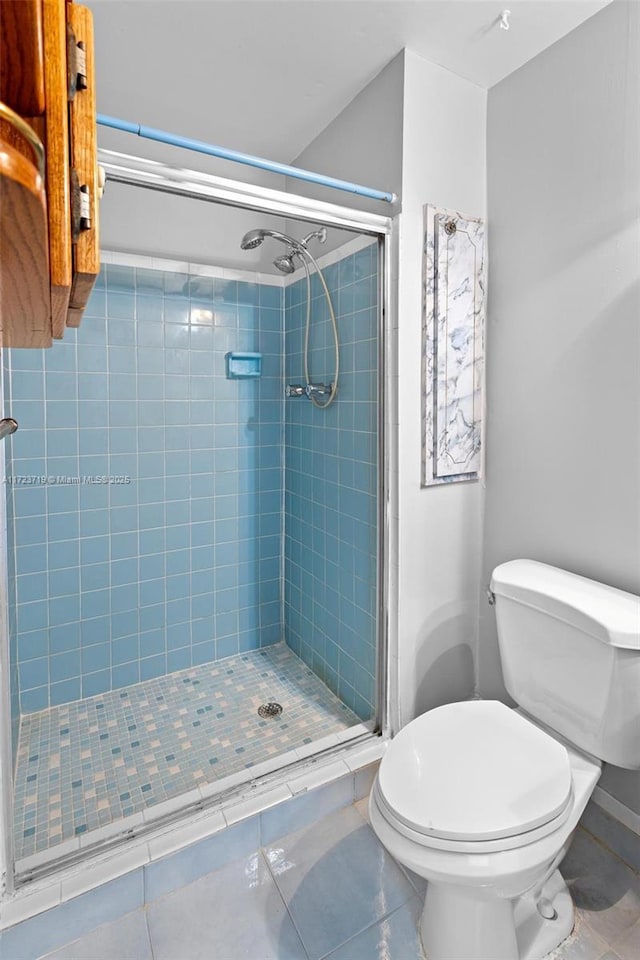 bathroom featuring toilet, tile patterned floors, and walk in shower