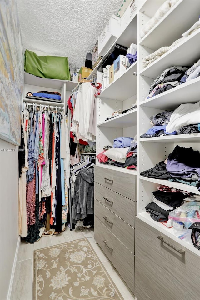 view of spacious closet