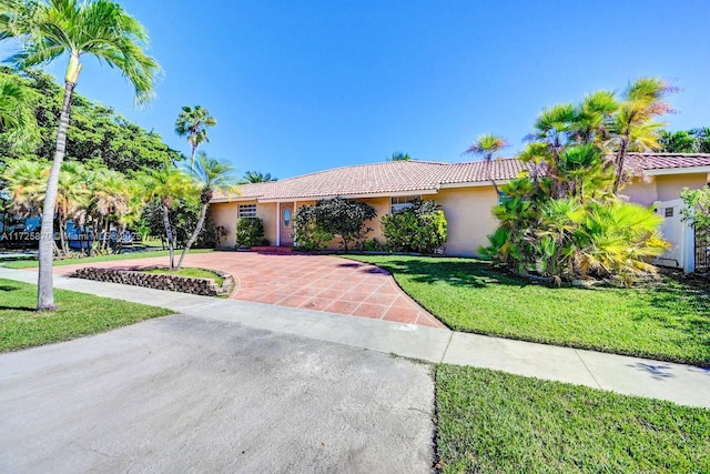 ranch-style house featuring a front yard