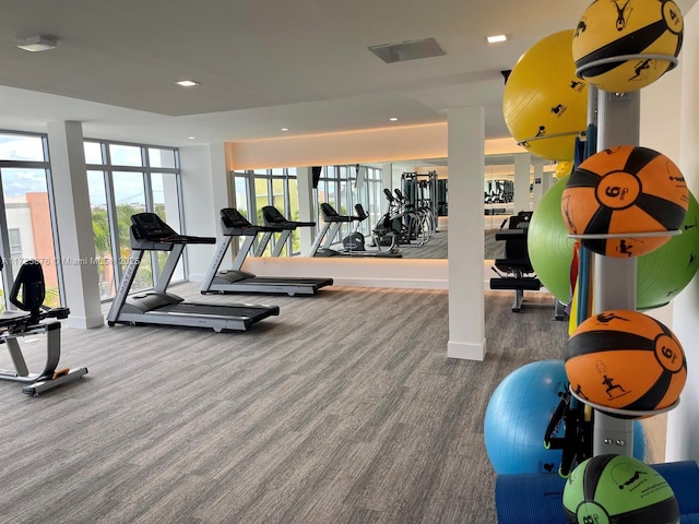 exercise room with carpet flooring and floor to ceiling windows