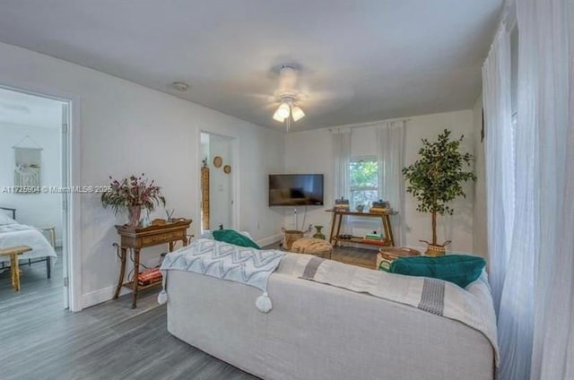 living room with ceiling fan and hardwood / wood-style flooring