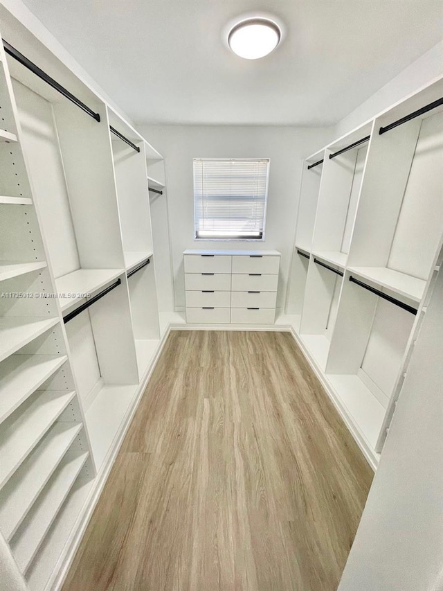 walk in closet with light wood finished floors