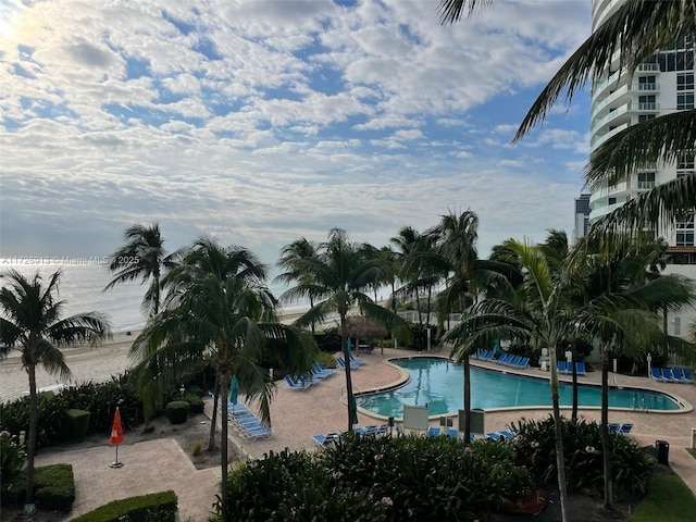 view of pool featuring a patio area