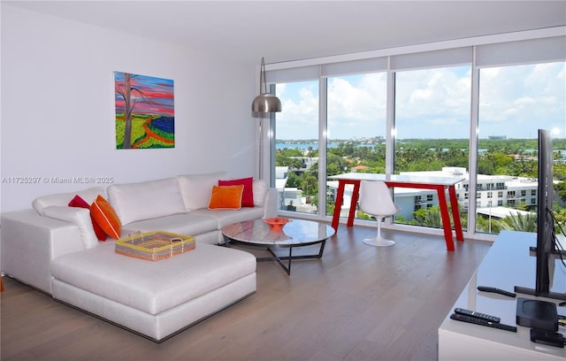 living room featuring wood-type flooring and expansive windows