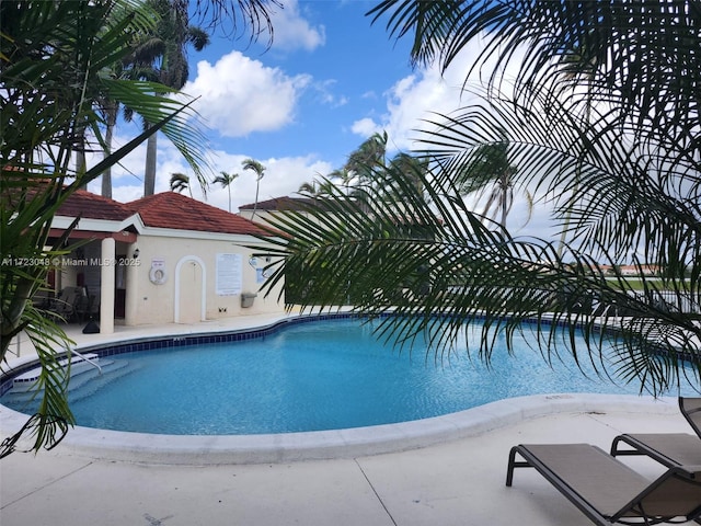 view of pool featuring a patio area