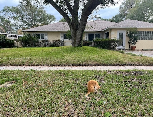 ranch-style home with a front yard