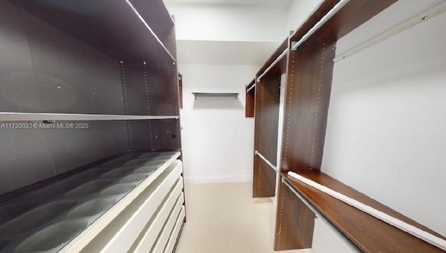 view of walk in closet