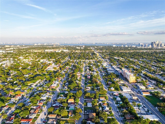 bird's eye view