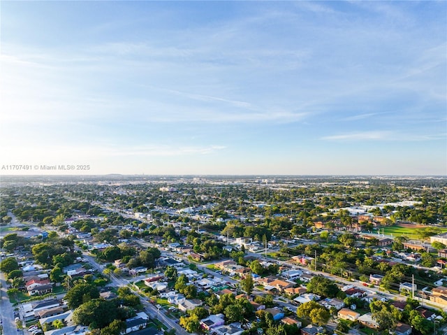 bird's eye view