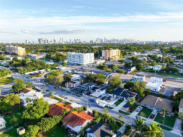 bird's eye view