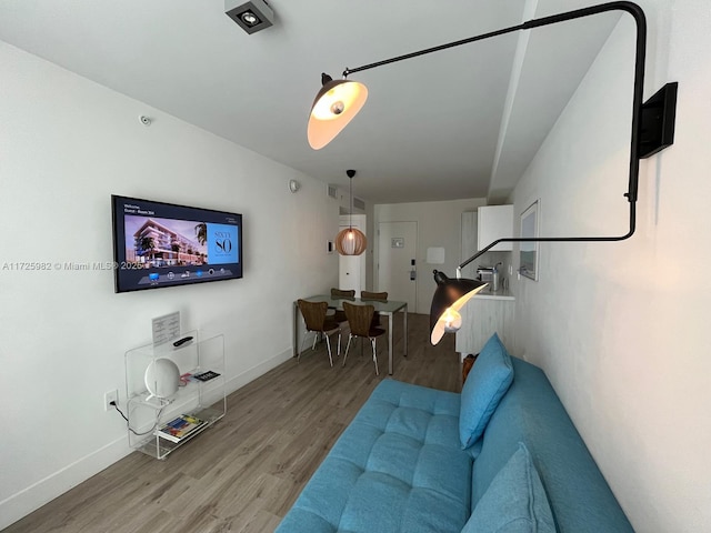 living room with wood-type flooring