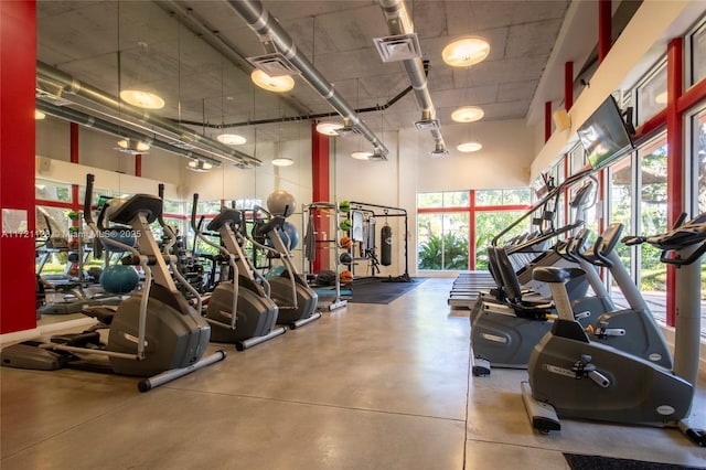 gym featuring a towering ceiling