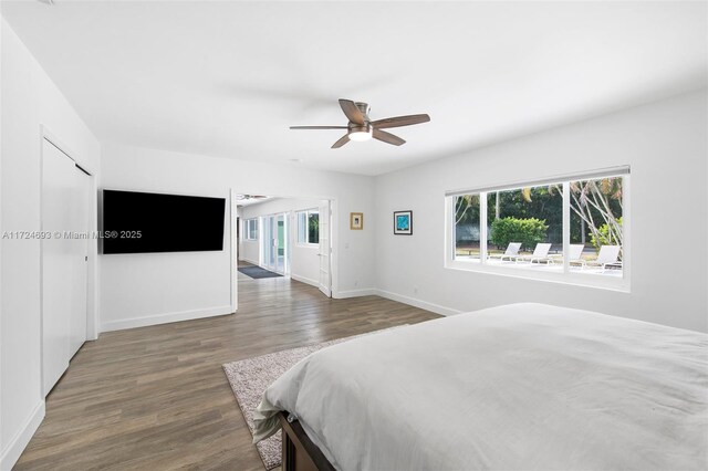 bedroom with dark hardwood / wood-style flooring and ceiling fan