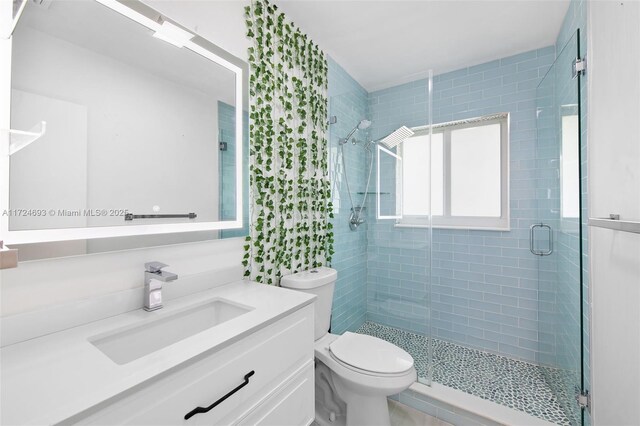 bathroom featuring vanity, toilet, and walk in shower