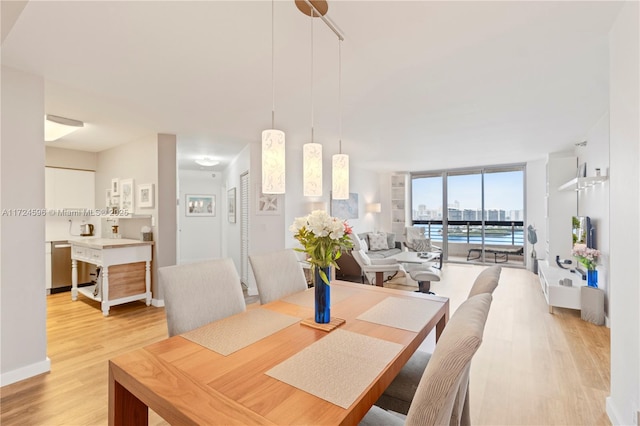 dining space with floor to ceiling windows and light wood-type flooring