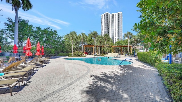 view of pool with a patio