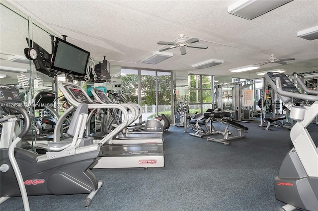 exercise room with a textured ceiling, ceiling fan, and expansive windows