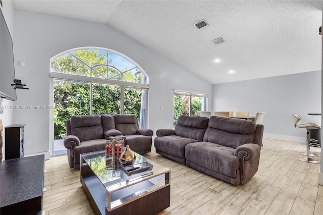 living room featuring lofted ceiling and a textured ceiling