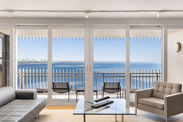 living room with light wood-type flooring, a wealth of natural light, and a water view