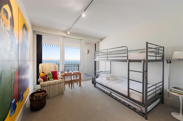 bedroom featuring track lighting and a water view