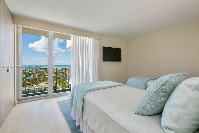 bedroom with light hardwood / wood-style flooring