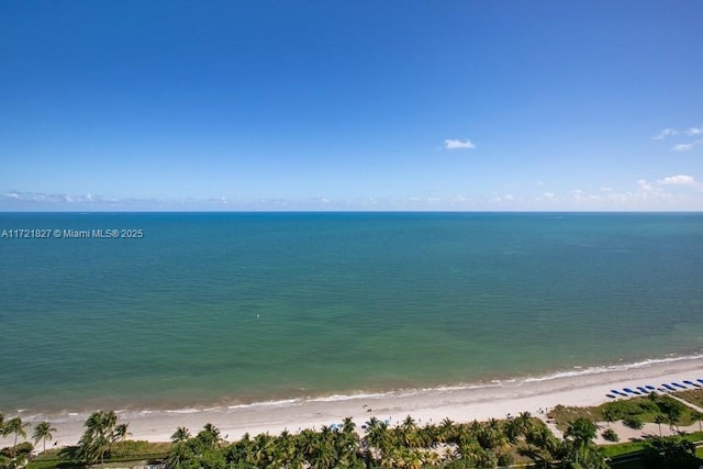 property view of water featuring a view of the beach