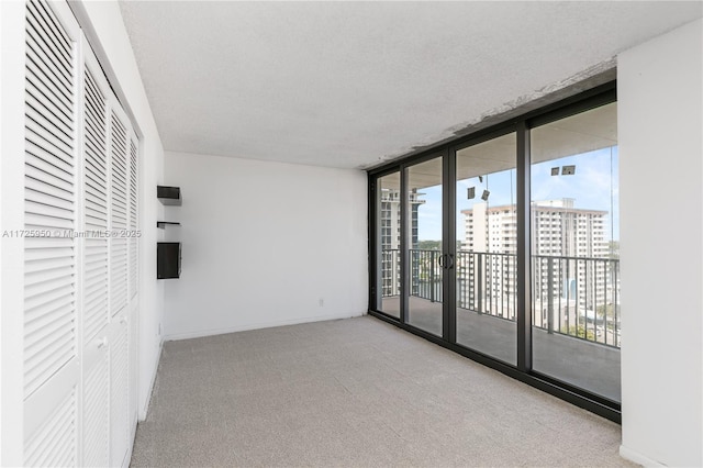 carpeted spare room featuring a textured ceiling, a wealth of natural light, and expansive windows