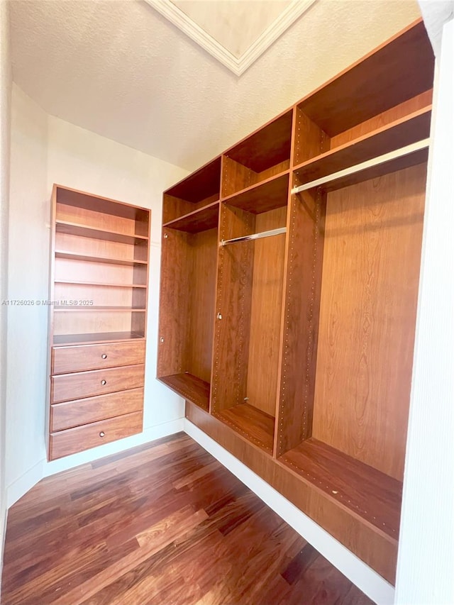 spacious closet featuring dark hardwood / wood-style floors