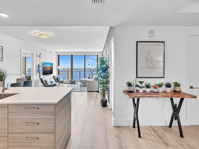 kitchen featuring floor to ceiling windows, sink, light brown cabinets, and light hardwood / wood-style flooring