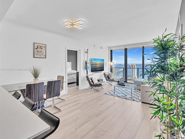 living room featuring expansive windows and light hardwood / wood-style flooring