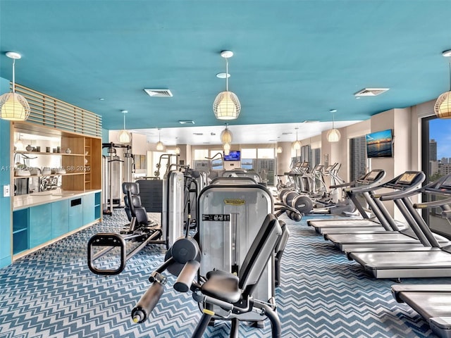 workout area featuring carpet flooring