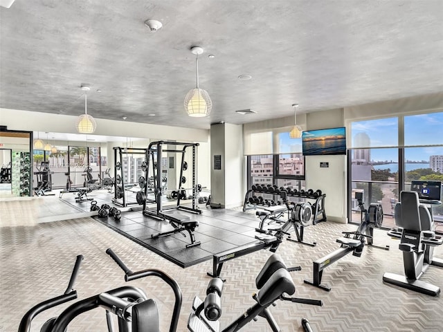 workout area with a wealth of natural light