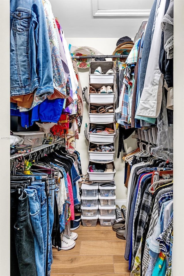 walk in closet with wood-type flooring