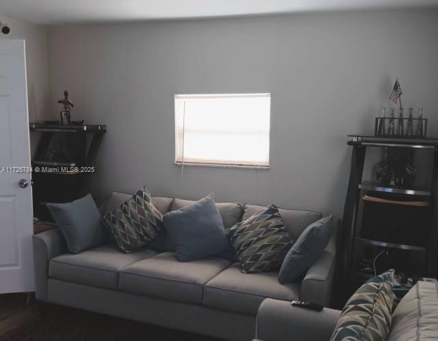 living room with hardwood / wood-style floors