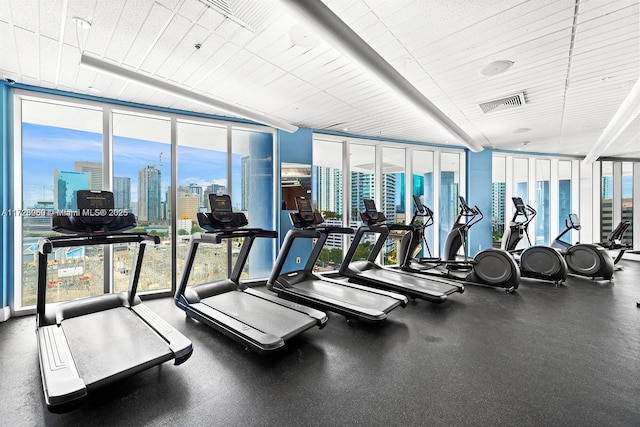 exercise room featuring plenty of natural light