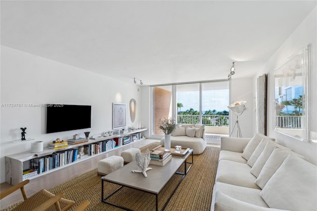 living room featuring expansive windows and hardwood / wood-style flooring