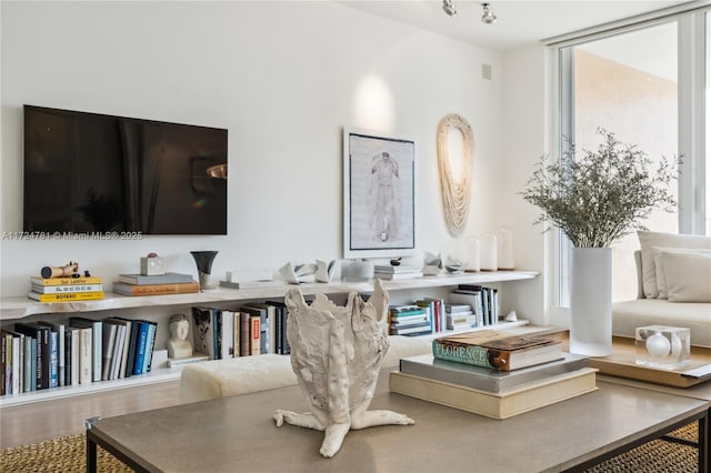 interior space featuring hardwood / wood-style flooring and plenty of natural light