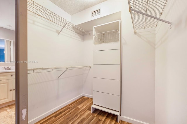 spacious closet with sink and light hardwood / wood-style flooring