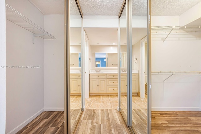 spacious closet featuring hardwood / wood-style flooring and sink