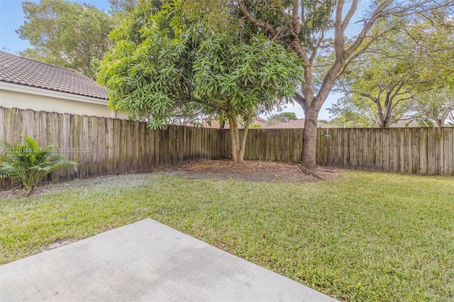 view of yard featuring a patio