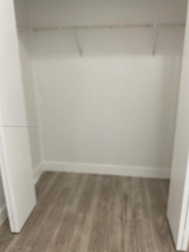 spacious closet with wood-type flooring