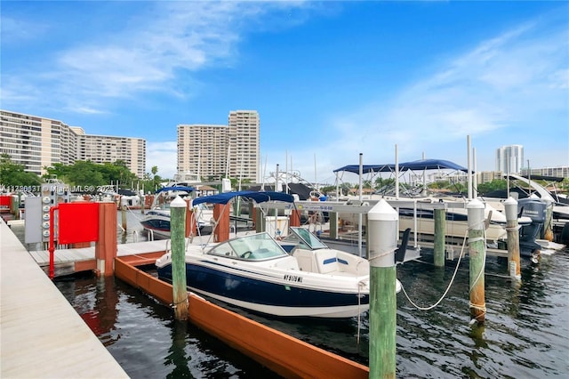 dock area featuring a water view