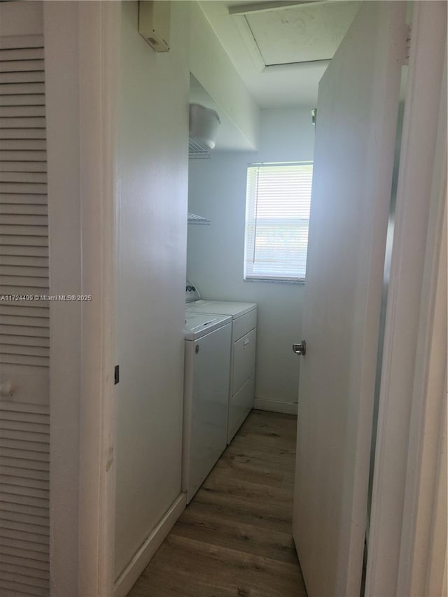 washroom featuring light wood-type flooring and washing machine and dryer