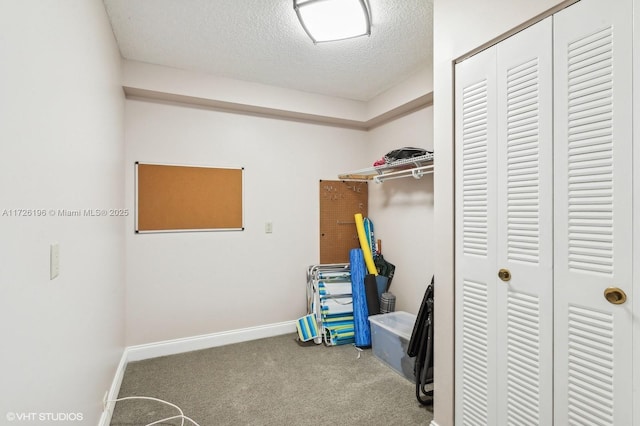 spacious closet with carpet flooring