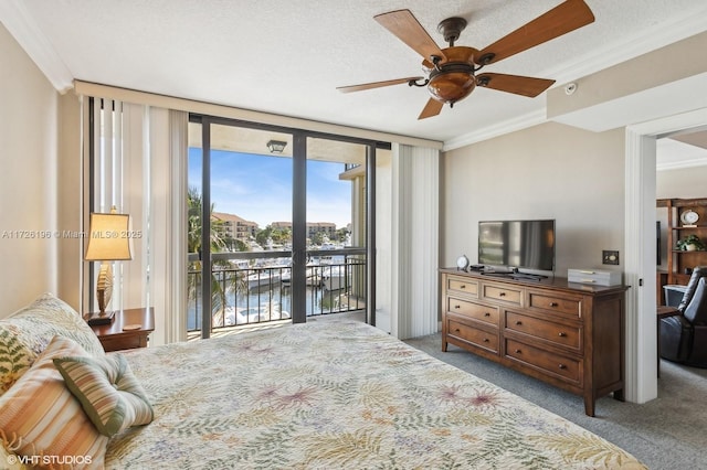 bedroom with ceiling fan, carpet, access to exterior, expansive windows, and a textured ceiling