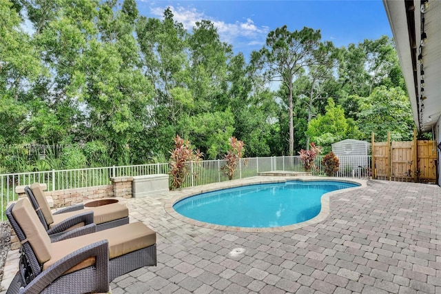 view of pool with a patio