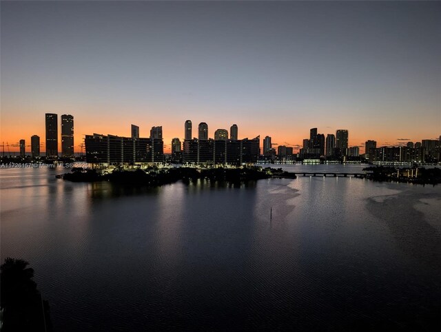 3300 NE 188th St Unit Lph11, Aventura, FL 33180 - photo 4
