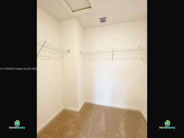 walk in closet featuring carpet floors